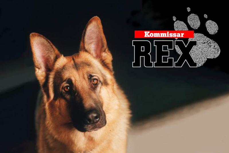 Komisař Rex